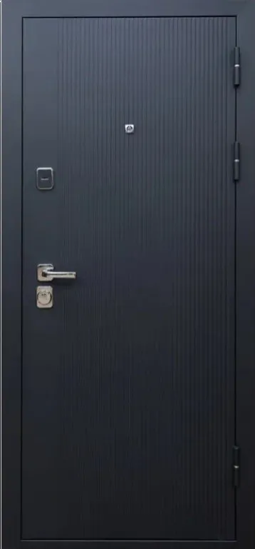 Товар Дверь Цербер SS-01 Только 96 DIS007136